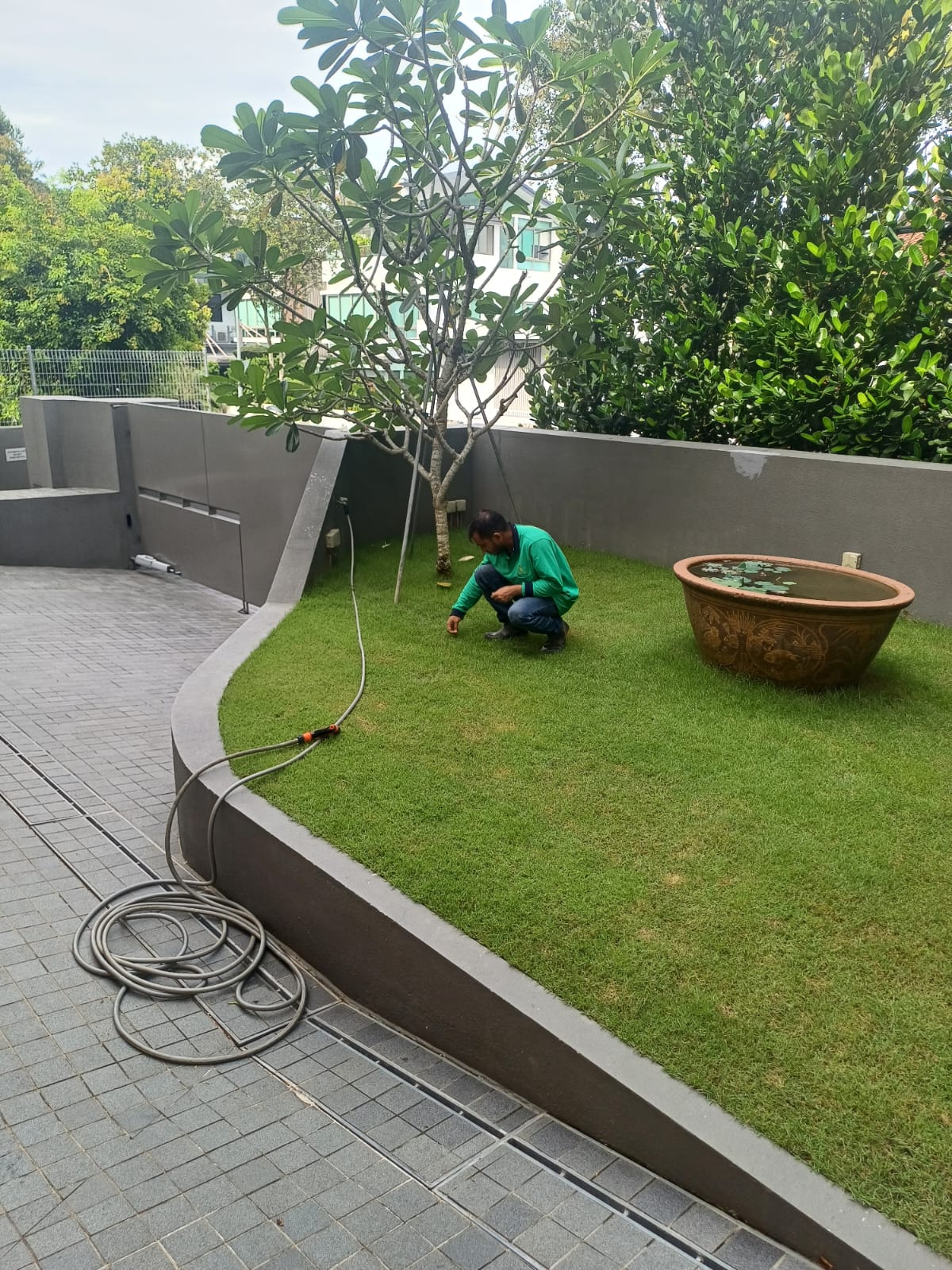 Commercial Weeding Services
